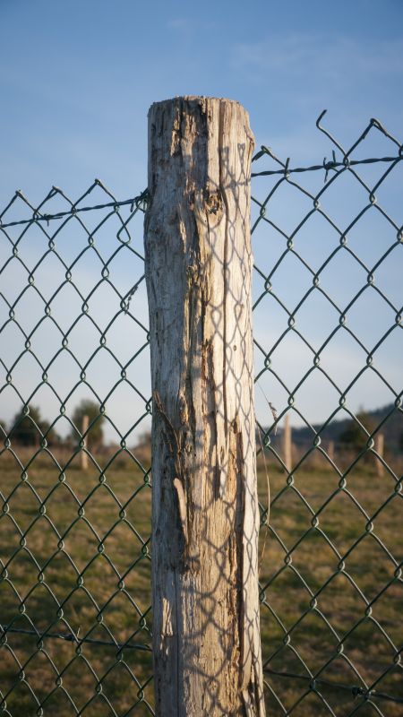 Weathered Fence Post